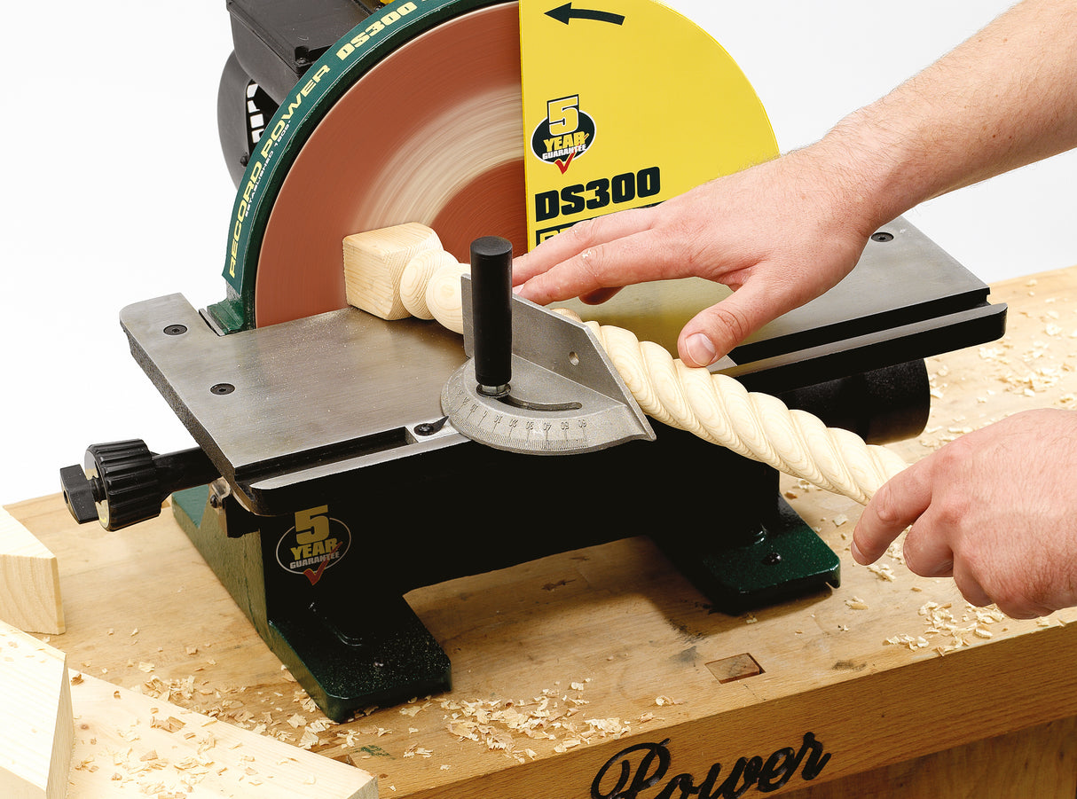 Record Power DS300 Schleifmaschine