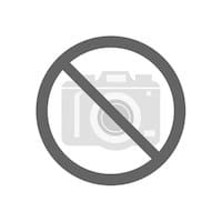 Hobelmesser 154 x 17 x 2,5 mm