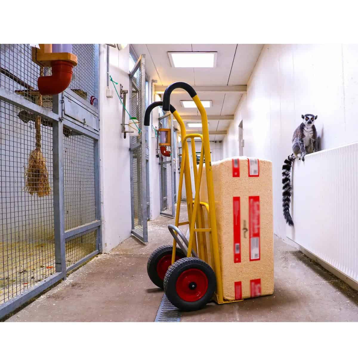 Carrello portapacchi pieghevole CLM 250 Ergo PUR