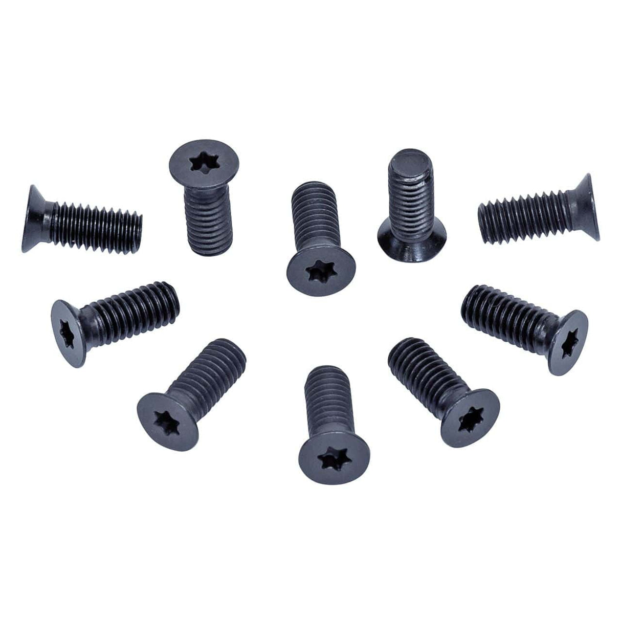 Ersatzschrauben für Spiralschneidblock (10 Stück) | ADM 260 S / AD 260 S / FS 310 PS / PT 310 S