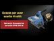 Tragbare Anfasmaschine Bernardo KFM 200 M – 400 V, Fasen bis 10 mm, Winkel 15°-45°
