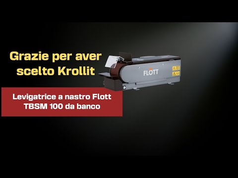 Flott TBSM 100 Tischschleifmaschine